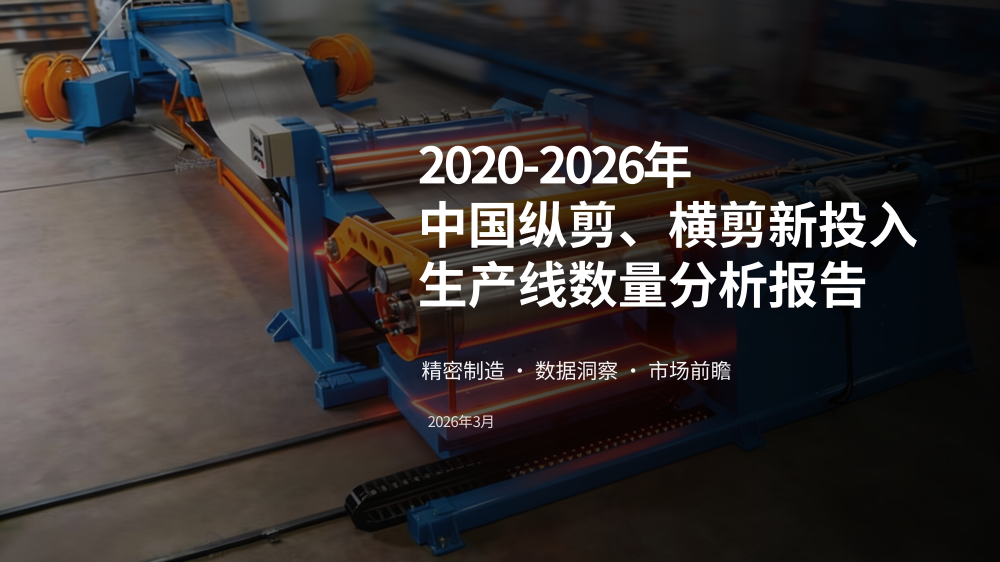 2020-2026中国纵剪横剪生产线分析报告